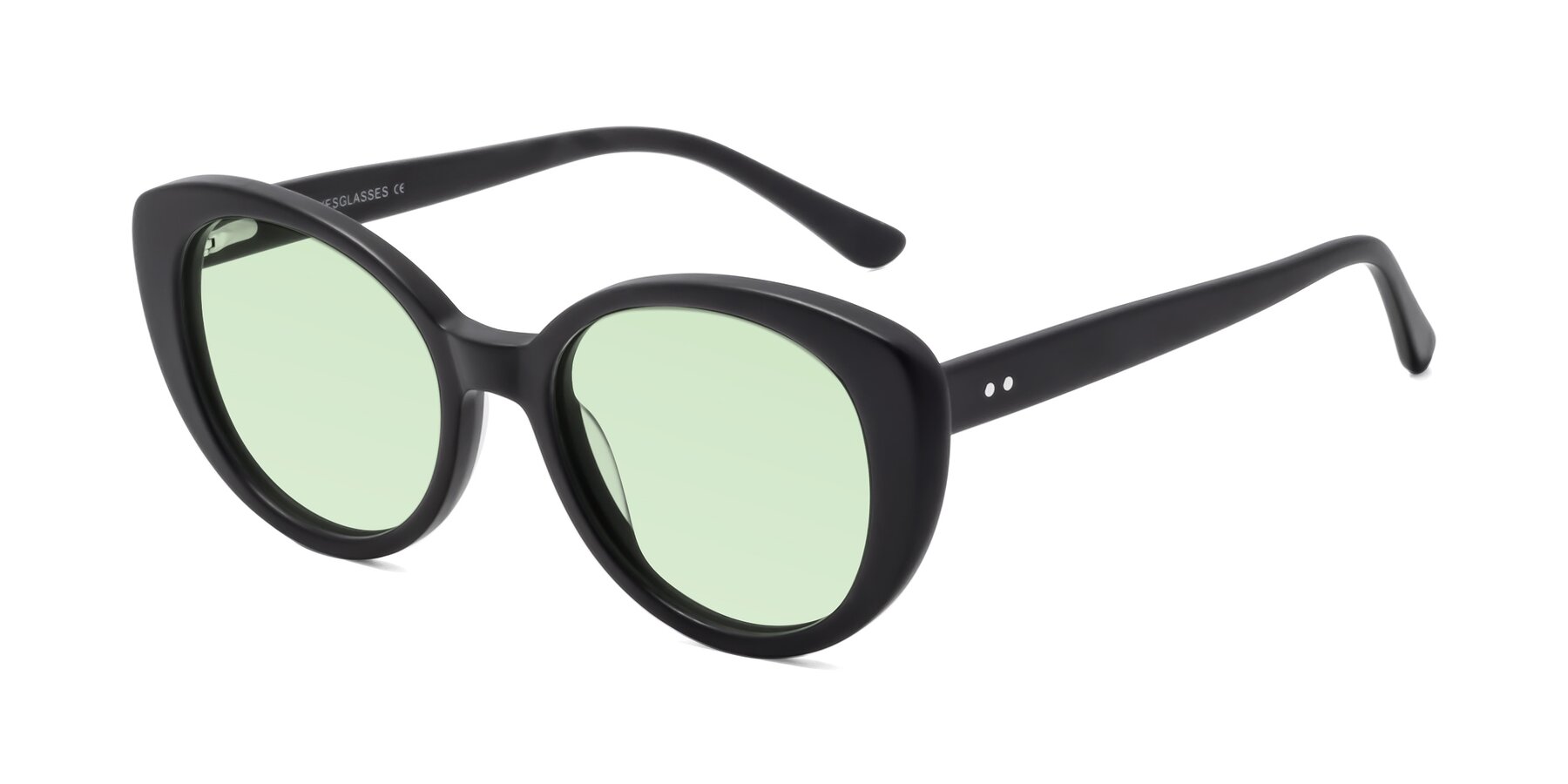 Angle of Pebble in Matte Black with Light Green Tinted Lenses