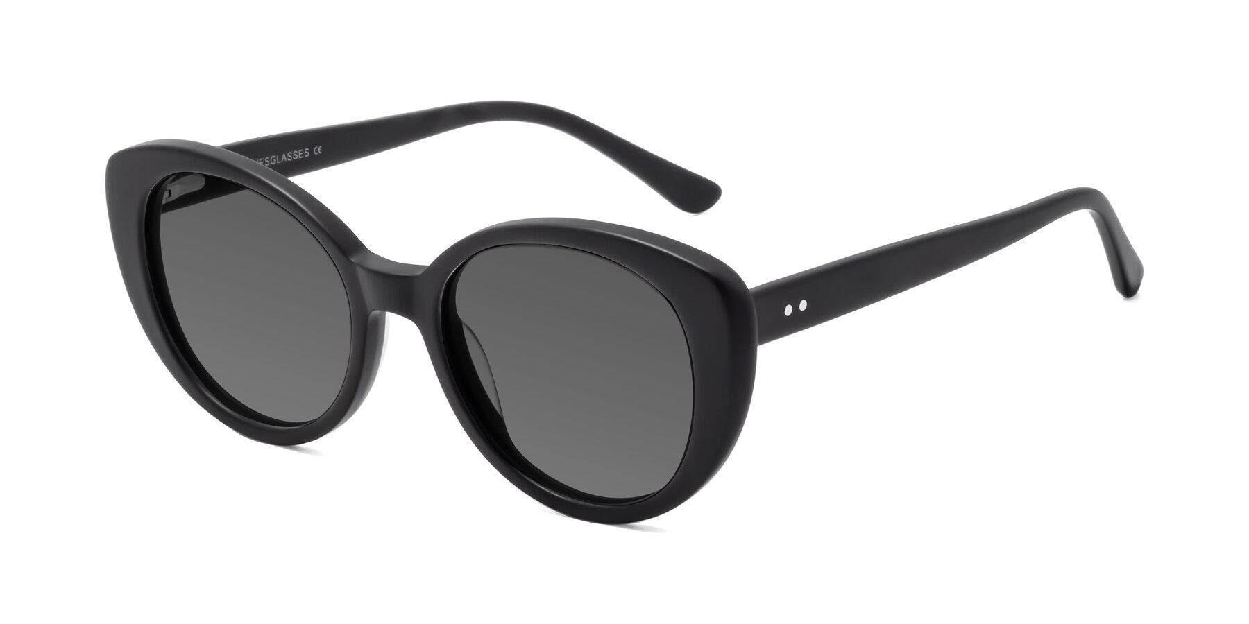 Angle of Pebble in Matte Black with Medium Gray Tinted Lenses