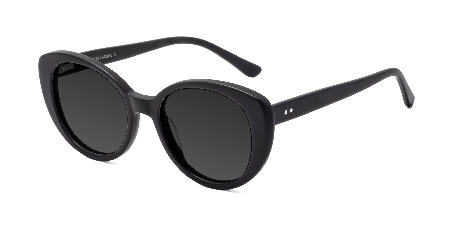 Angle of Pebble in Matte Black with Gray Tinted Lenses