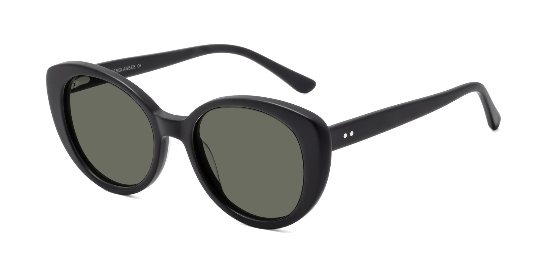 Angle of Pebble in Matte Black with Gray Polarized Lenses