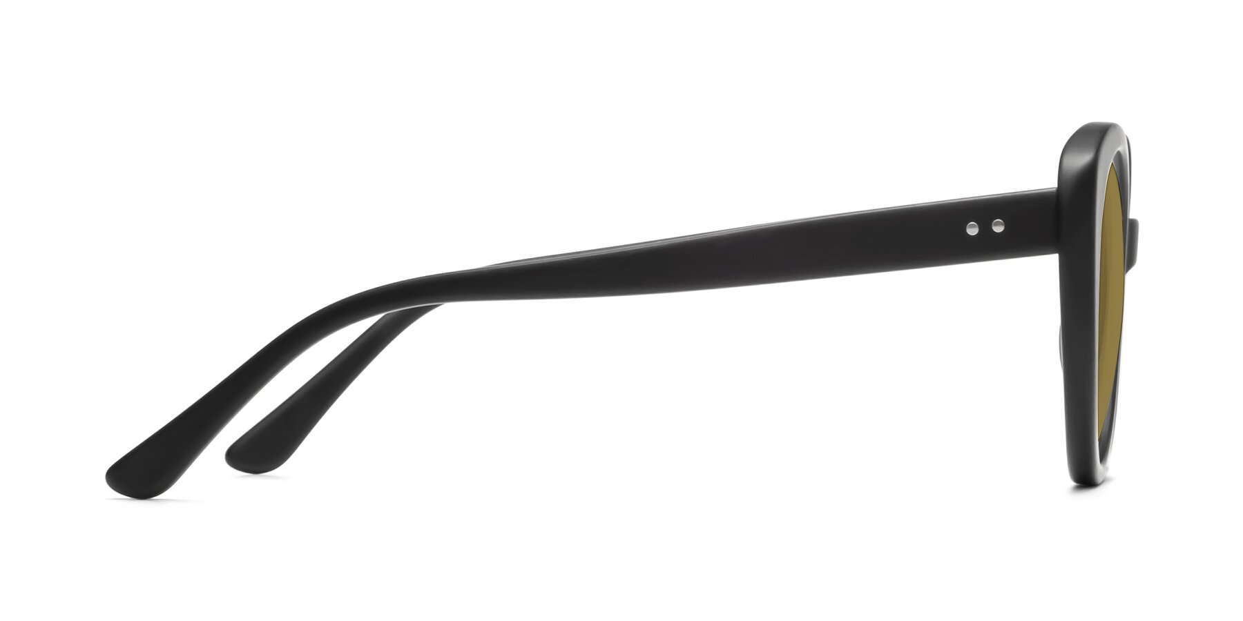 Side of Pebble in Matte Black with Brown Polarized Lenses