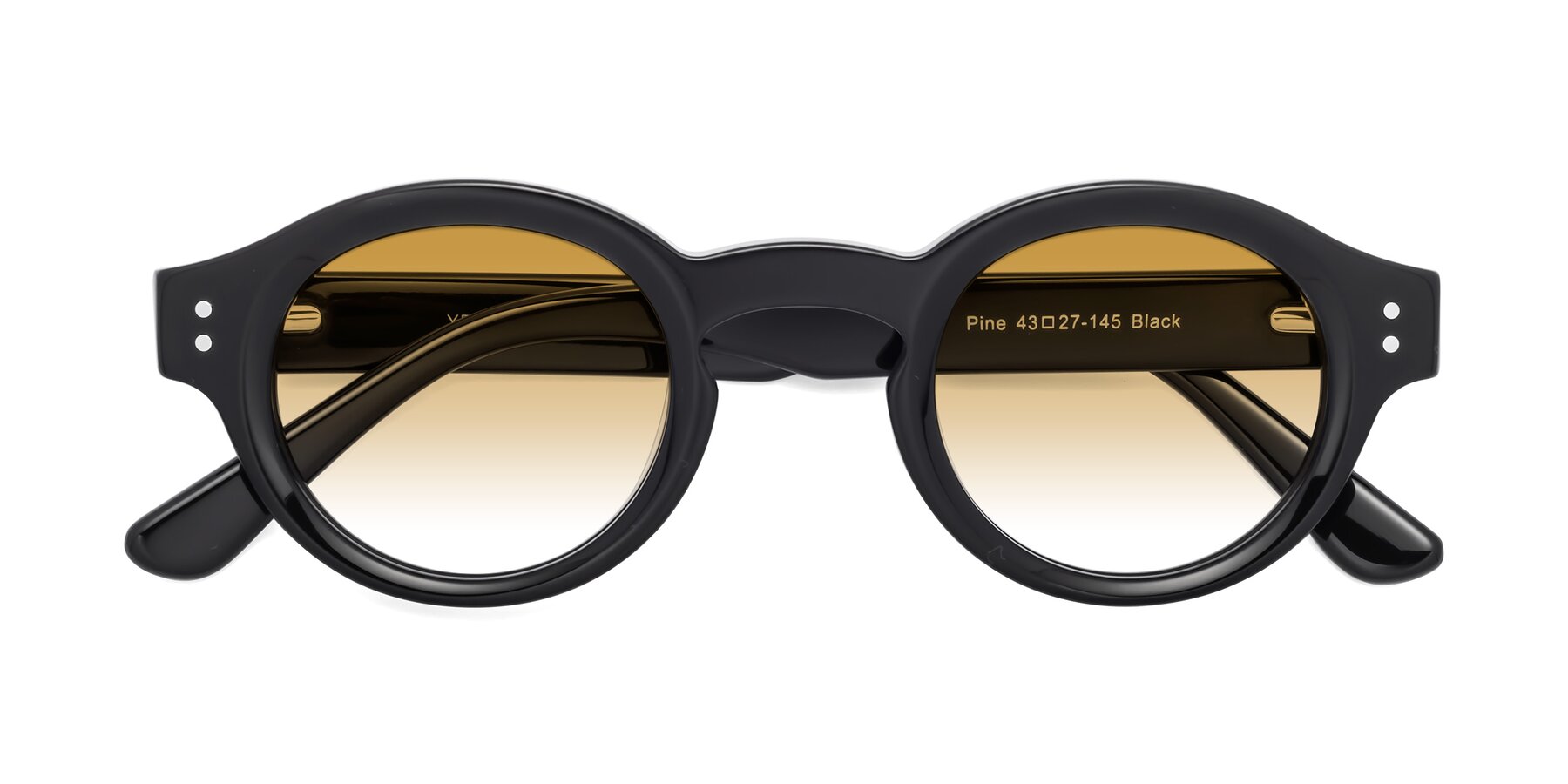 Folded Front of Pine in Black with Champagne Gradient Lenses