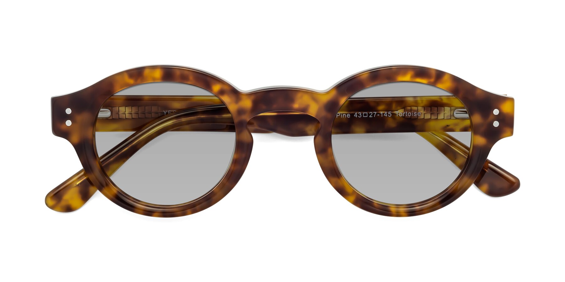 Folded Front of Pine in Tortoise with Light Gray Tinted Lenses