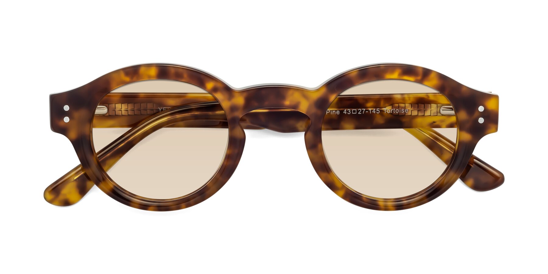 Folded Front of Pine in Tortoise with Light Brown Tinted Lenses