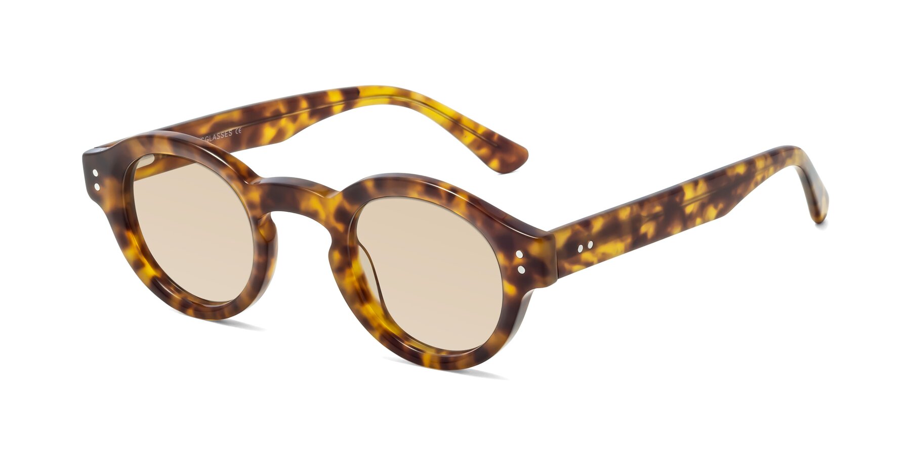 Angle of Pine in Tortoise with Light Brown Tinted Lenses