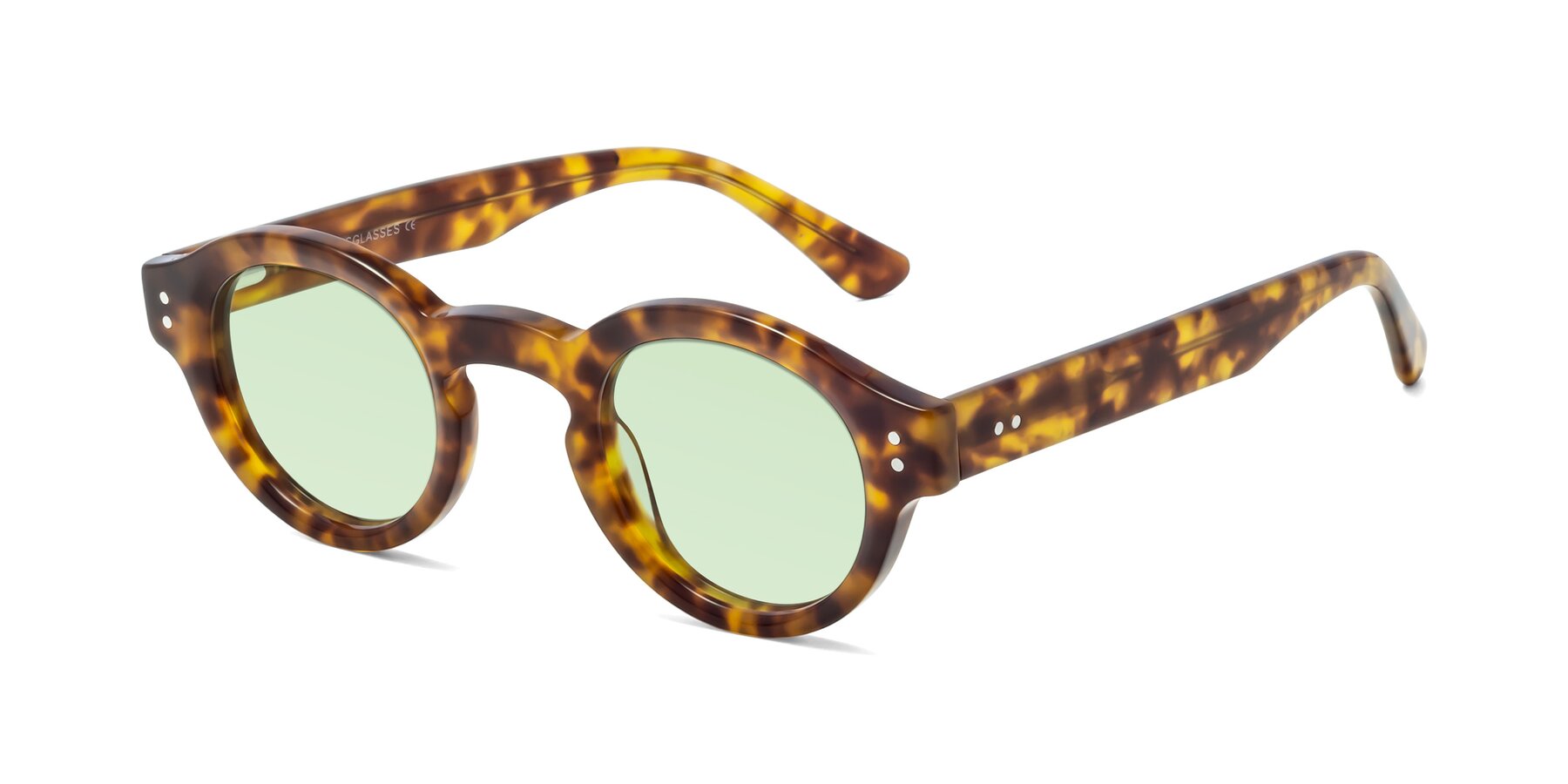 Angle of Pine in Tortoise with Light Green Tinted Lenses