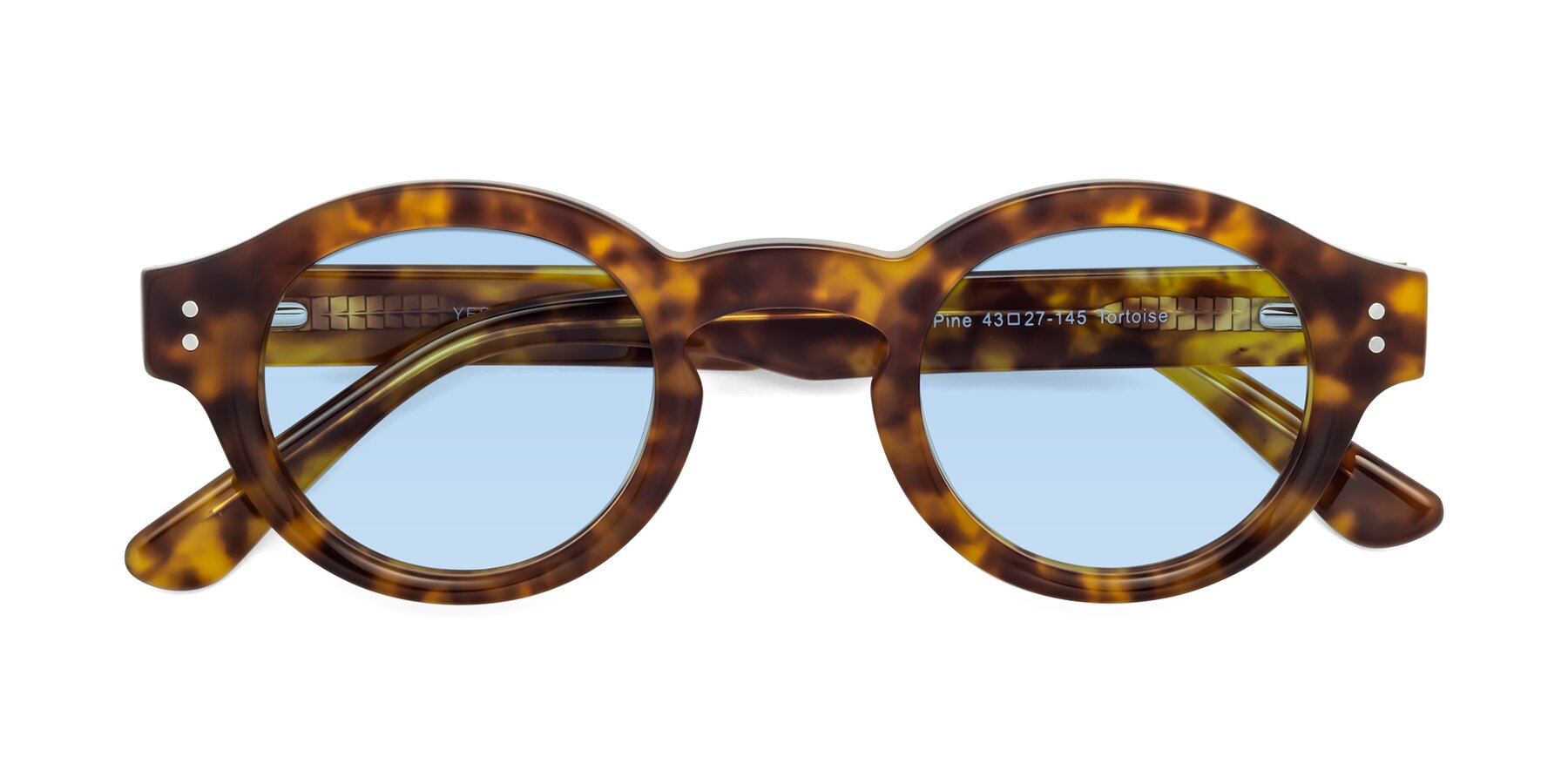 Folded Front of Pine in Tortoise with Light Blue Tinted Lenses