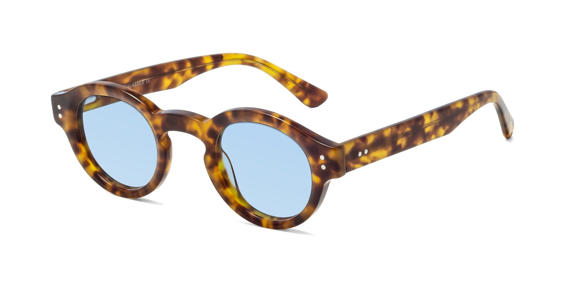 Angle of Pine in Tortoise with Light Blue Tinted Lenses