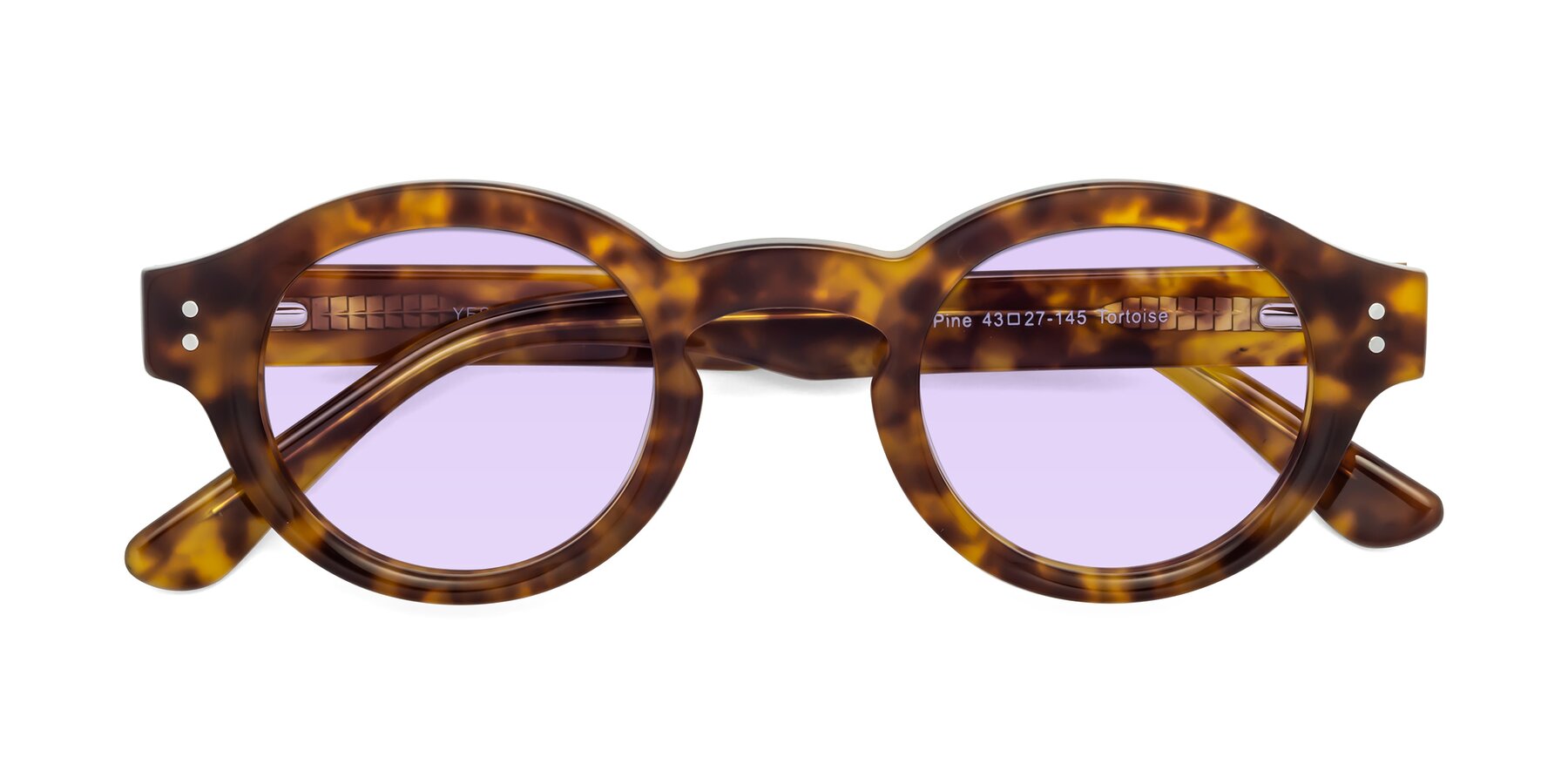 Folded Front of Pine in Tortoise with Light Purple Tinted Lenses