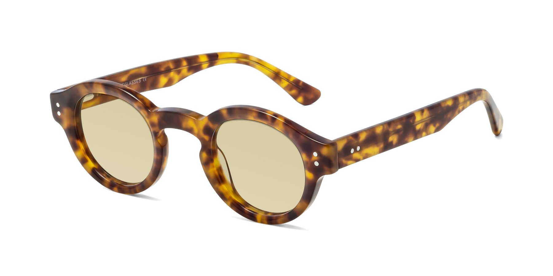 Angle of Pine in Tortoise with Light Champagne Tinted Lenses
