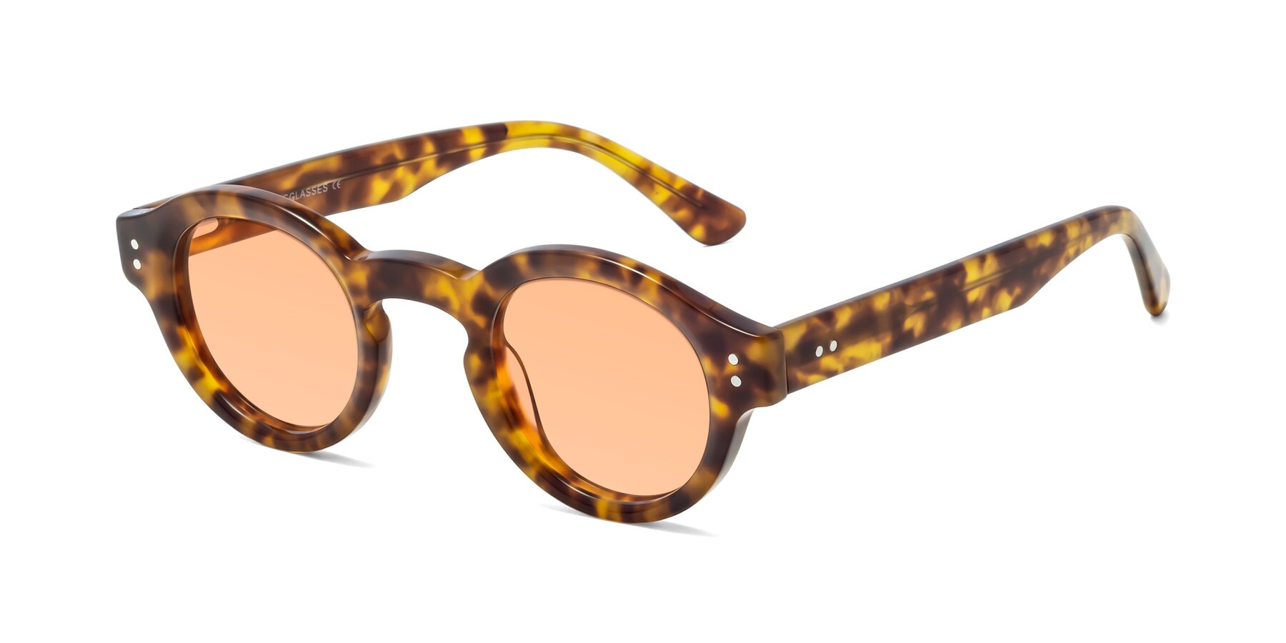 Angle of Pine in Tortoise with Light Orange Tinted Lenses