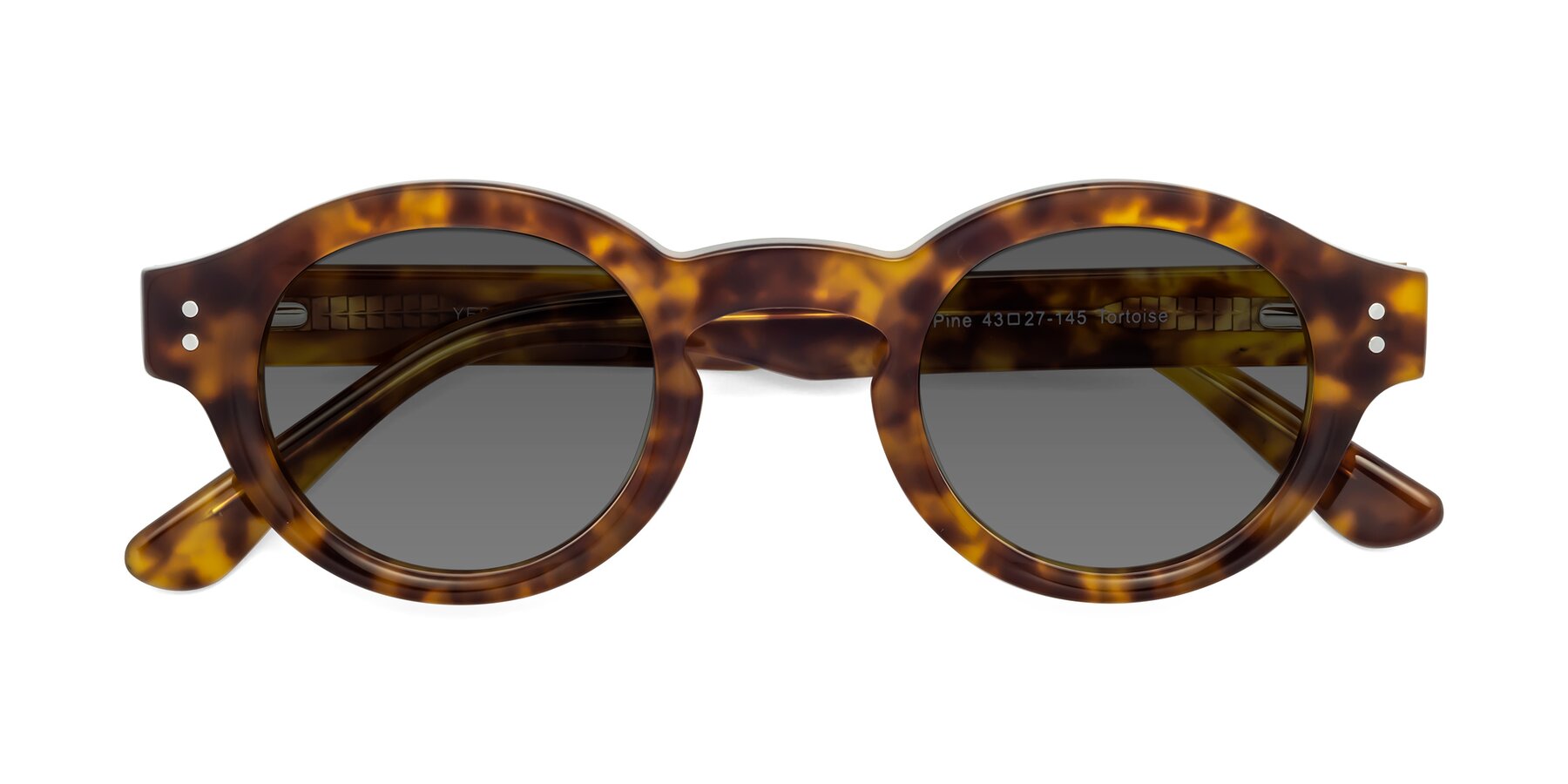 Folded Front of Pine in Tortoise with Medium Gray Tinted Lenses