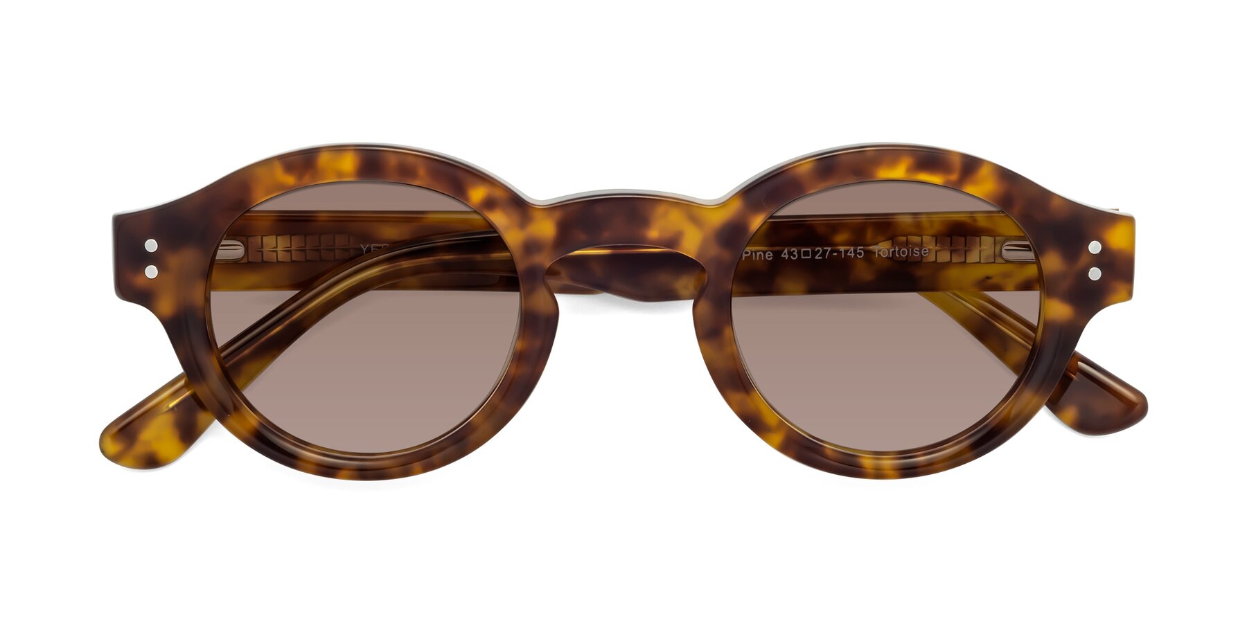 Folded Front of Pine in Tortoise with Medium Brown Tinted Lenses