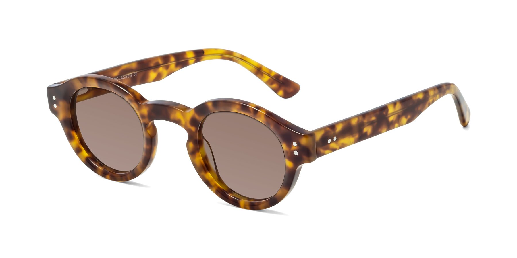 Angle of Pine in Tortoise with Medium Brown Tinted Lenses