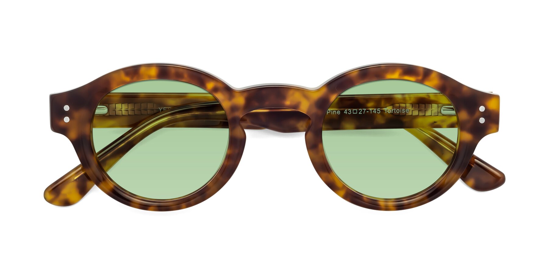 Folded Front of Pine in Tortoise with Medium Green Tinted Lenses