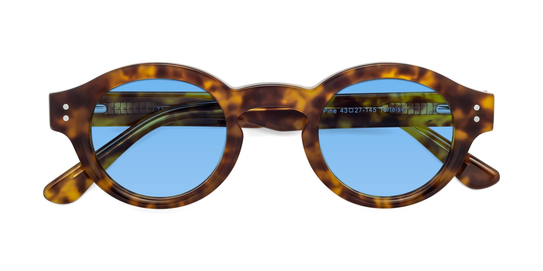 Folded Front of Pine in Tortoise with Medium Blue Tinted Lenses