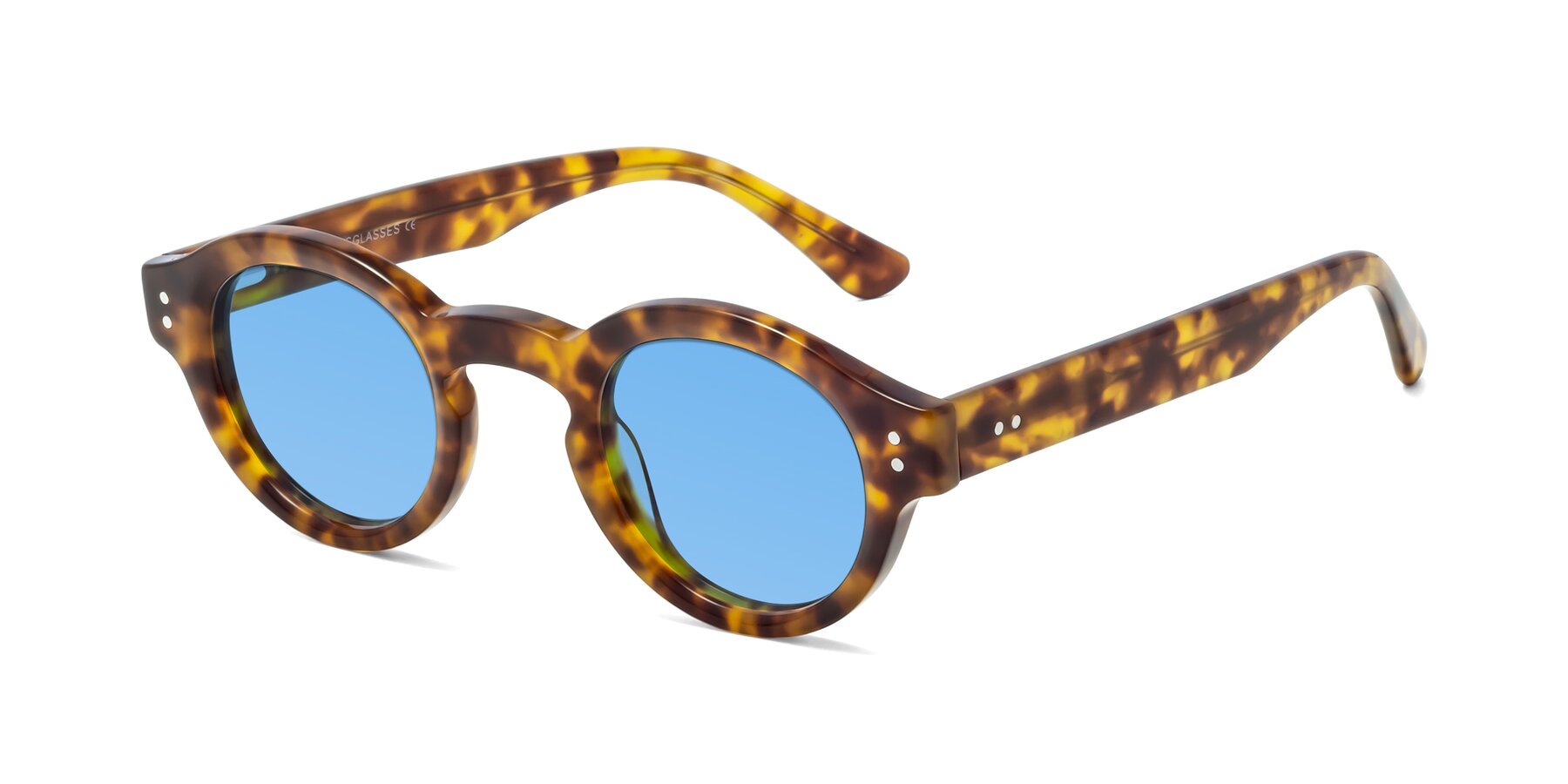 Angle of Pine in Tortoise with Medium Blue Tinted Lenses