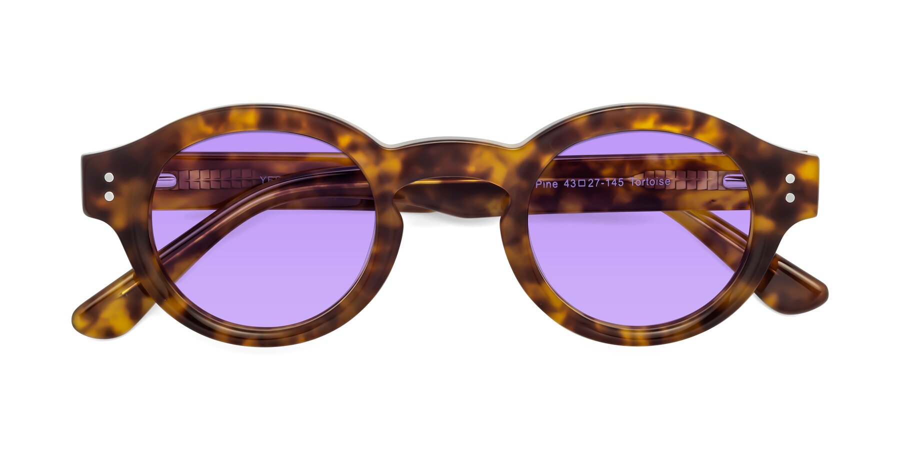 Folded Front of Pine in Tortoise with Medium Purple Tinted Lenses