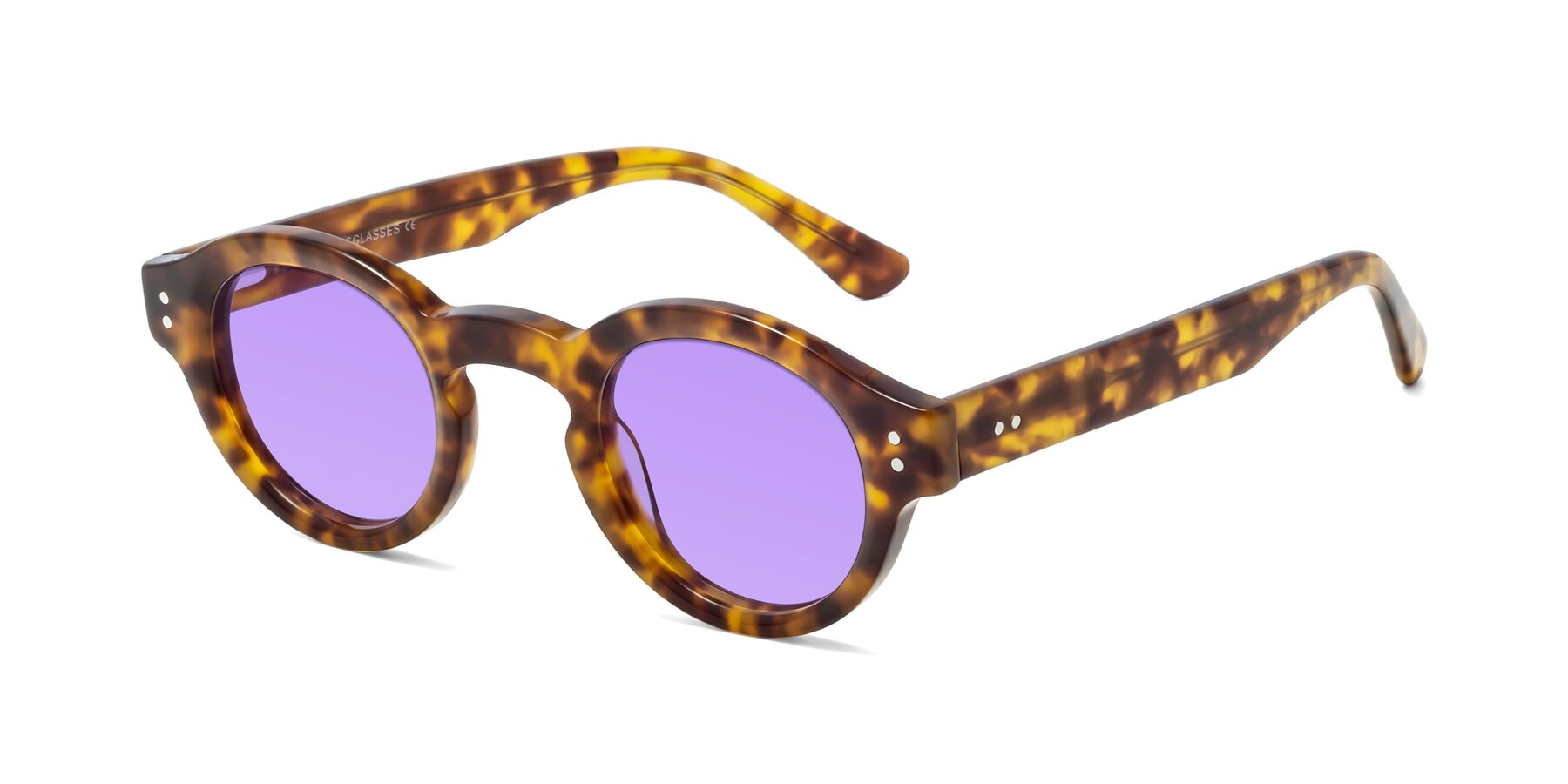 Angle of Pine in Tortoise with Medium Purple Tinted Lenses