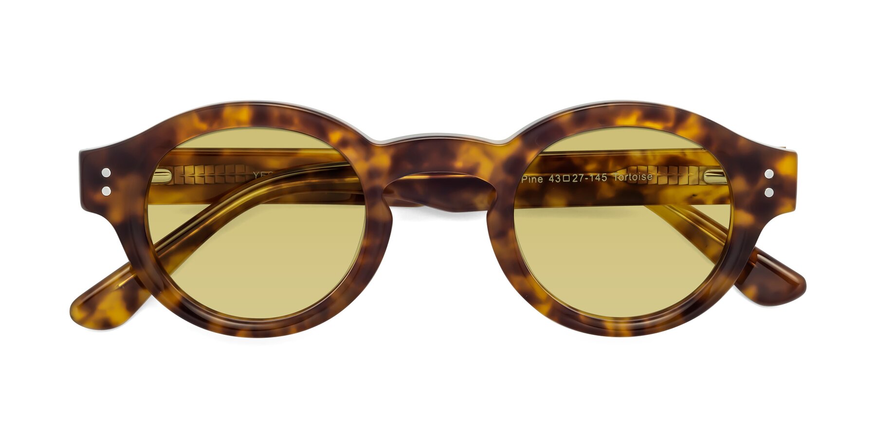 Folded Front of Pine in Tortoise with Medium Champagne Tinted Lenses