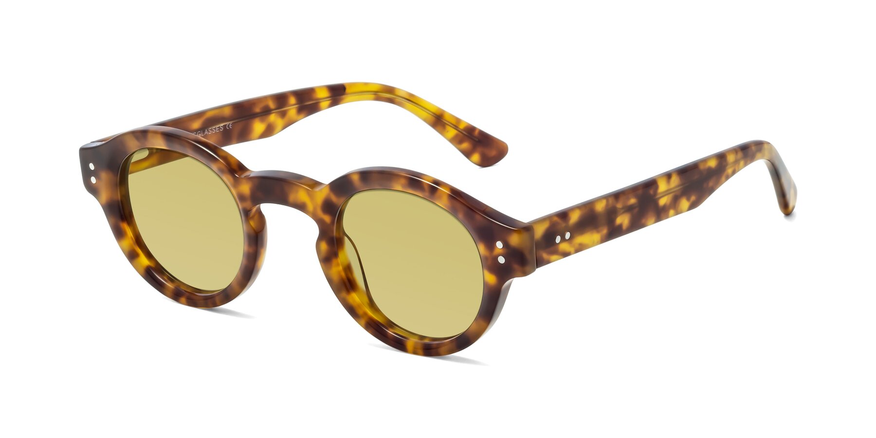 Angle of Pine in Tortoise with Medium Champagne Tinted Lenses