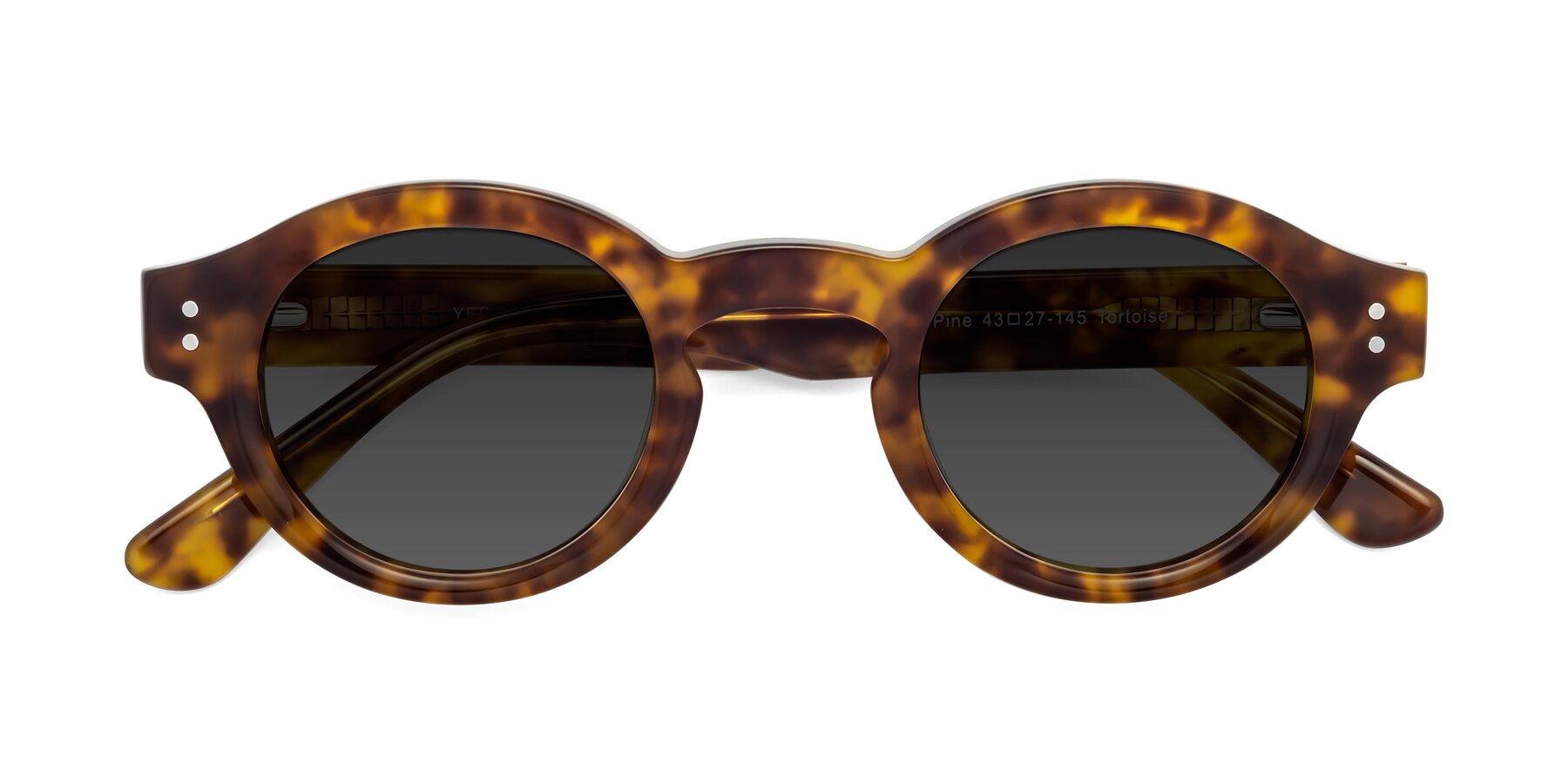 Folded Front of Pine in Tortoise with Gray Tinted Lenses