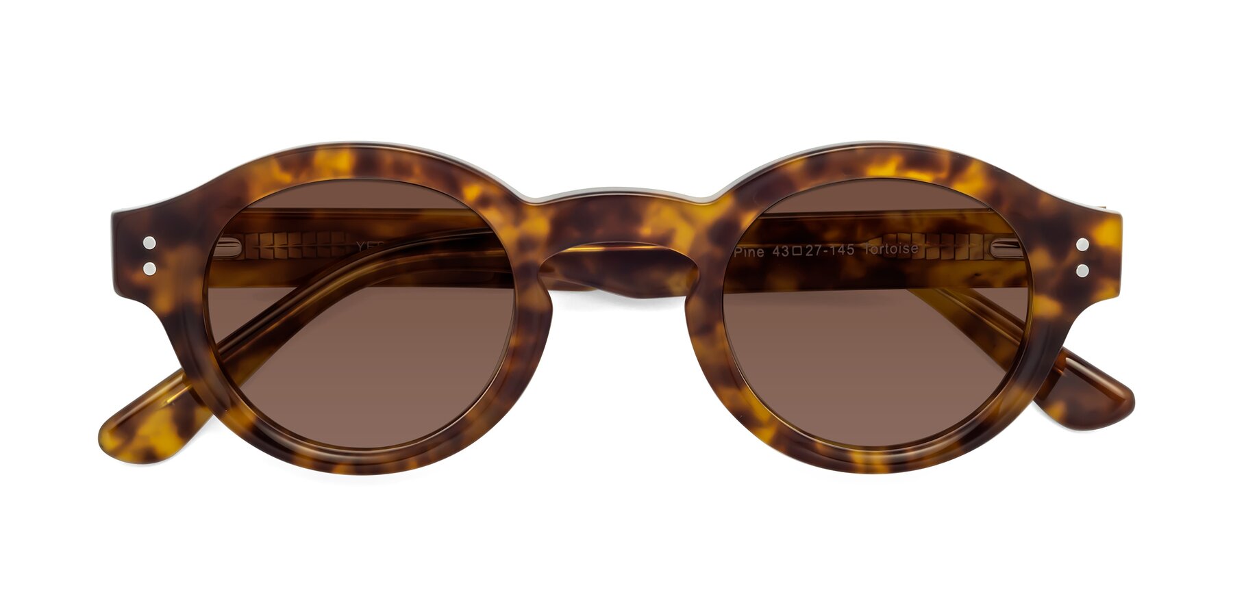 Folded Front of Pine in Tortoise with Brown Tinted Lenses