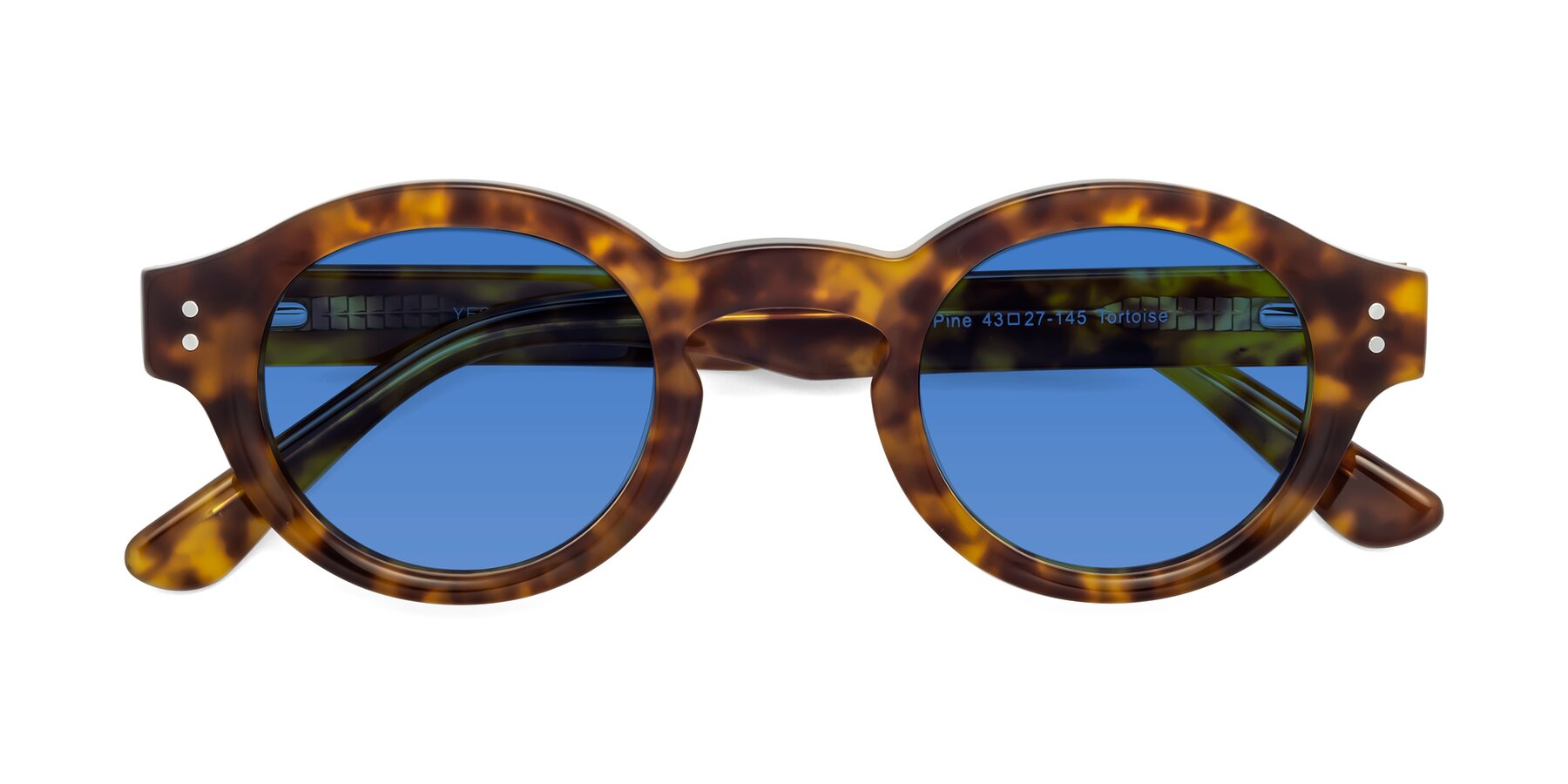 Folded Front of Pine in Tortoise with Blue Tinted Lenses