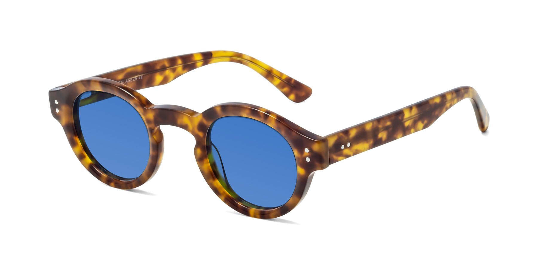 Angle of Pine in Tortoise with Blue Tinted Lenses