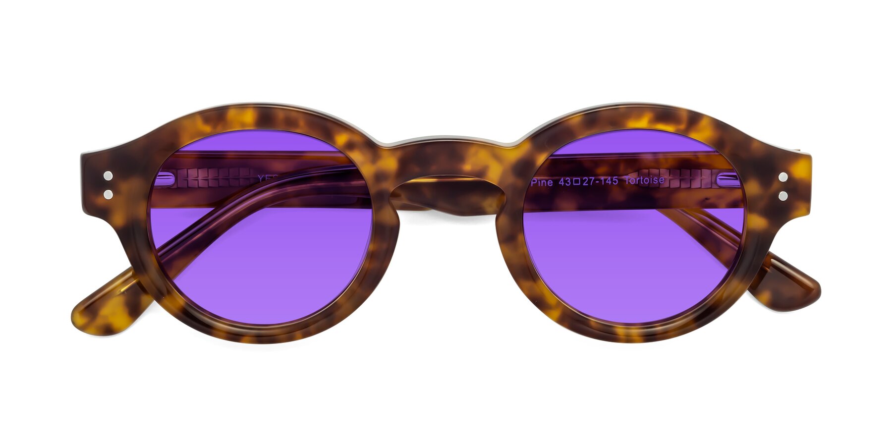 Folded Front of Pine in Tortoise with Purple Tinted Lenses