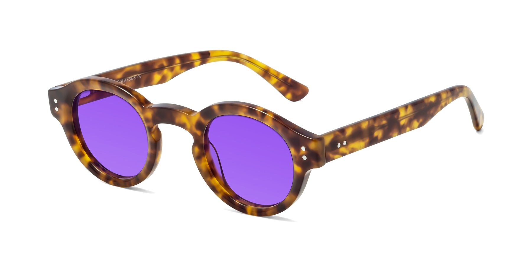 Angle of Pine in Tortoise with Purple Tinted Lenses