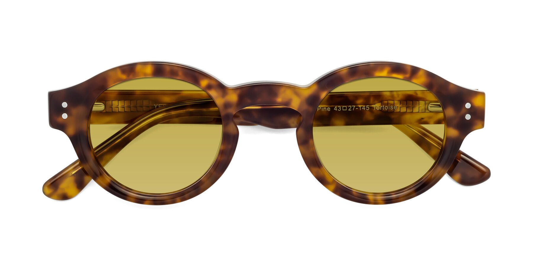 Folded Front of Pine in Tortoise with Champagne Tinted Lenses