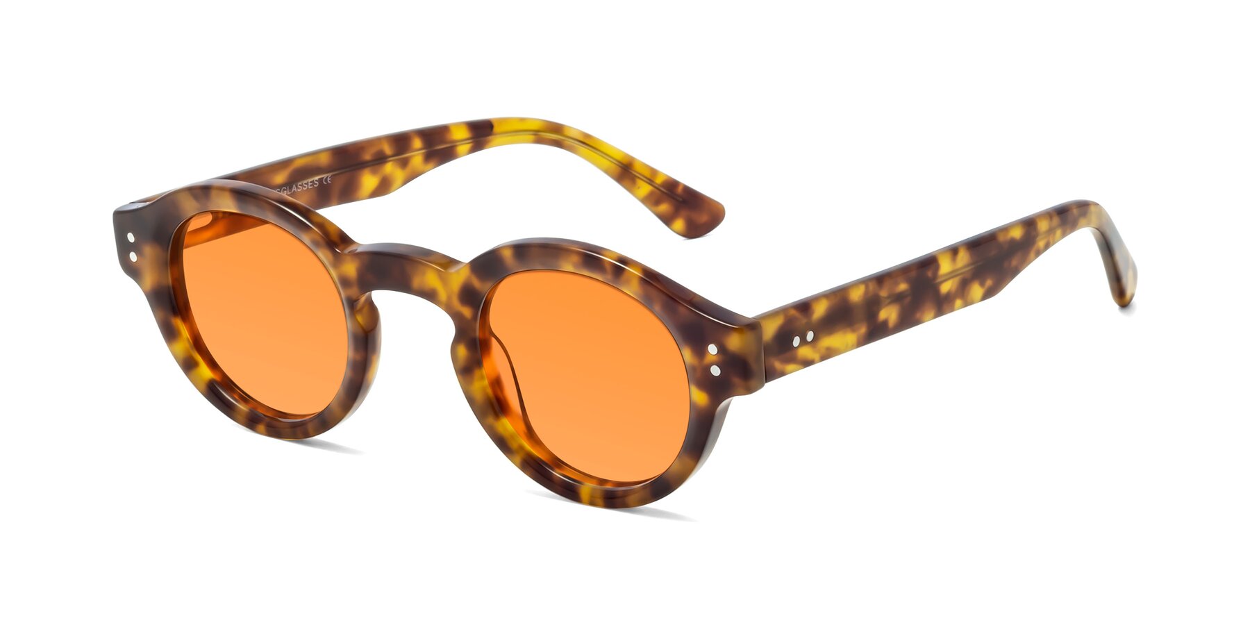Angle of Pine in Tortoise with Orange Tinted Lenses