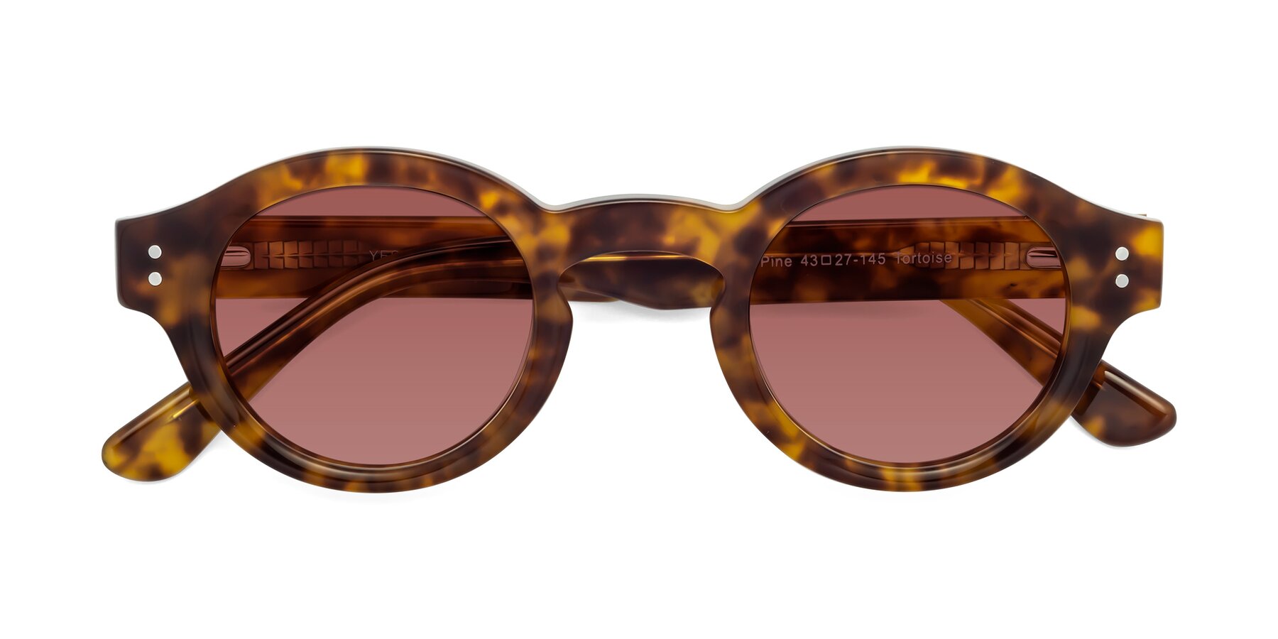 Folded Front of Pine in Tortoise with Garnet Tinted Lenses