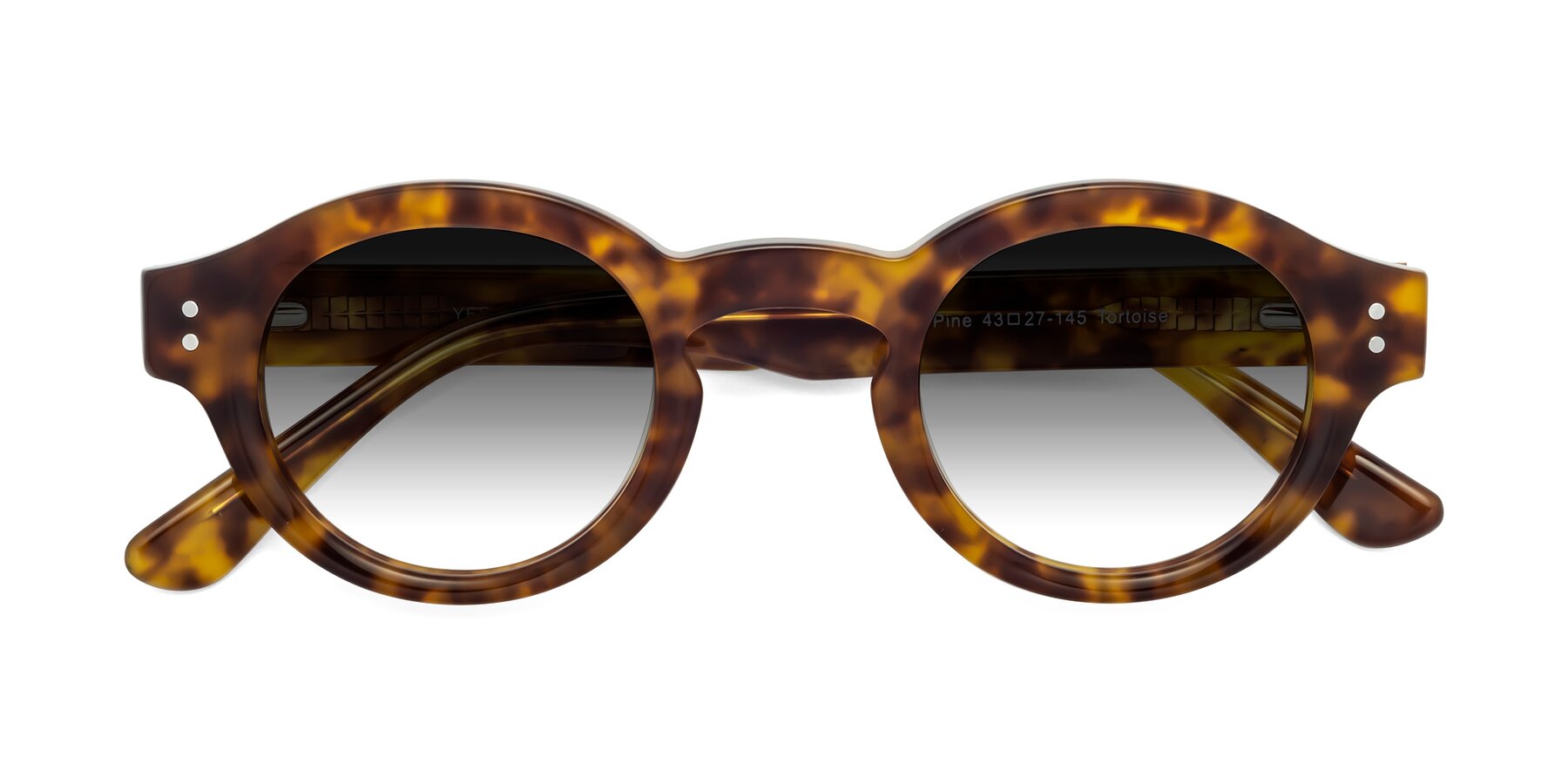 Folded Front of Pine in Tortoise with Gray Gradient Lenses