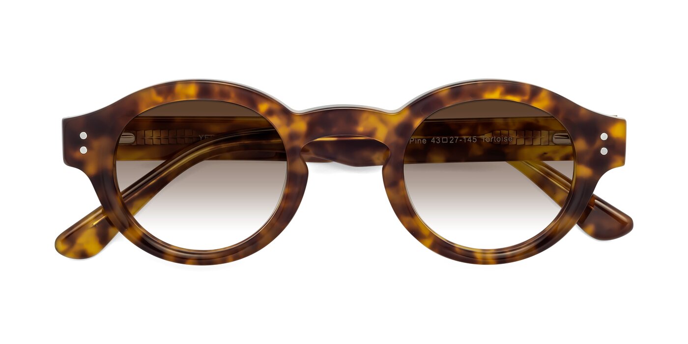Pine - Tortoise Gradient Sunglasses