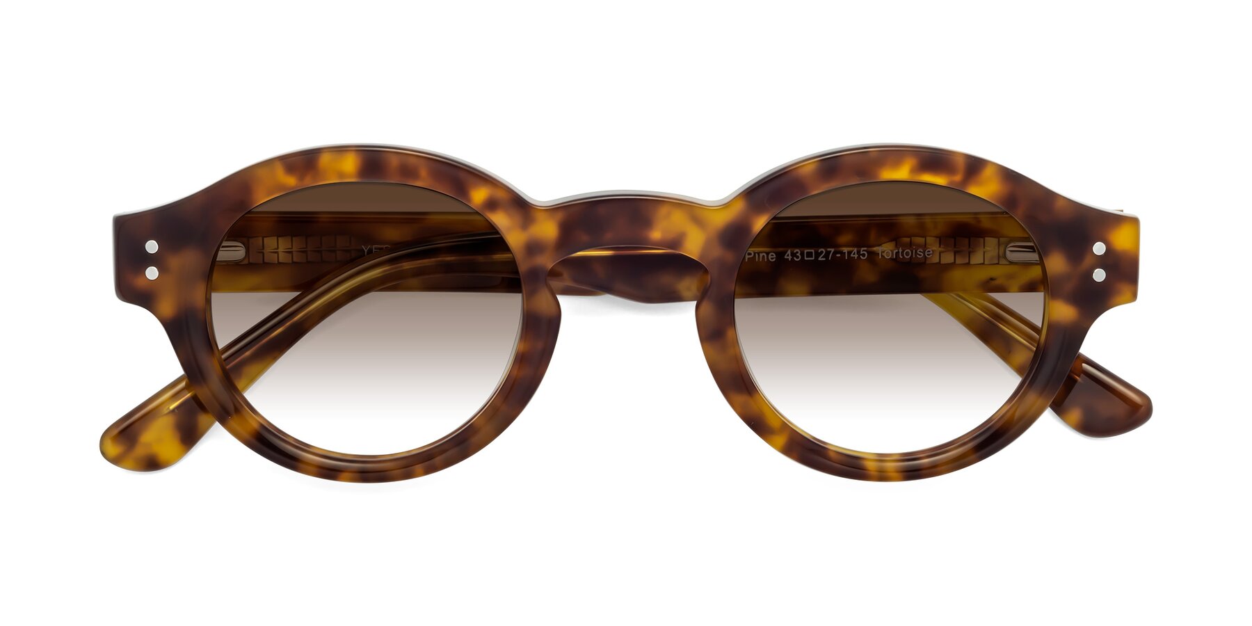 Folded Front of Pine in Tortoise with Brown Gradient Lenses