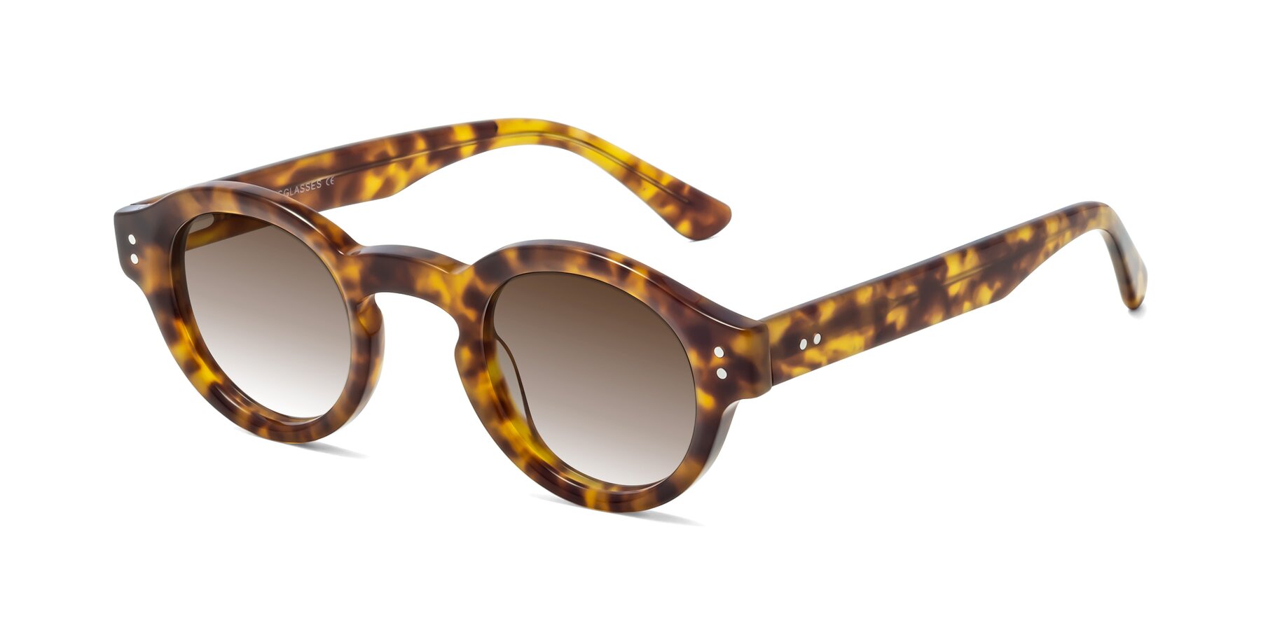 Angle of Pine in Tortoise with Brown Gradient Lenses