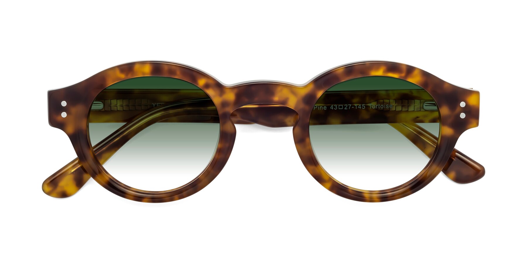 Folded Front of Pine in Tortoise with Green Gradient Lenses