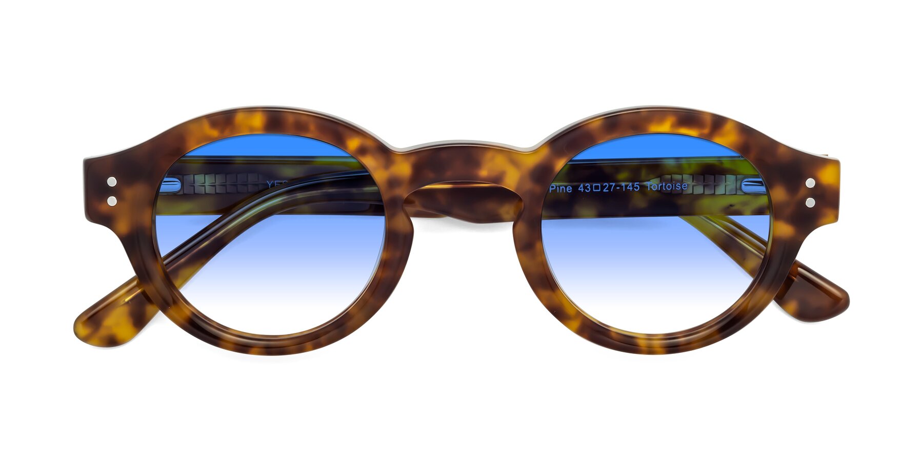Folded Front of Pine in Tortoise with Blue Gradient Lenses