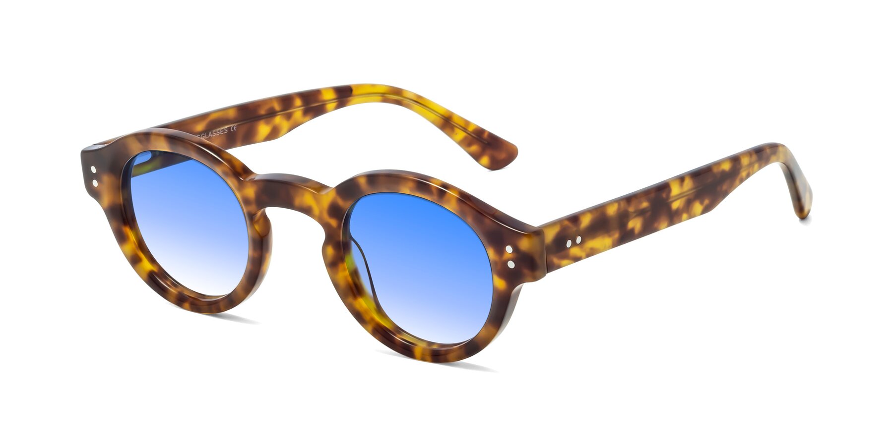 Angle of Pine in Tortoise with Blue Gradient Lenses