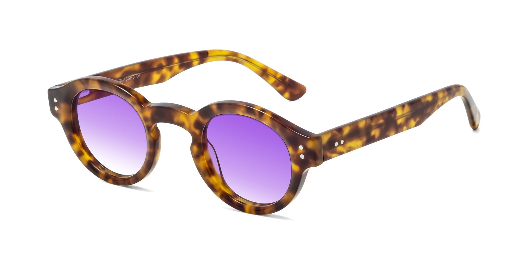 Angle of Pine in Tortoise with Purple Gradient Lenses