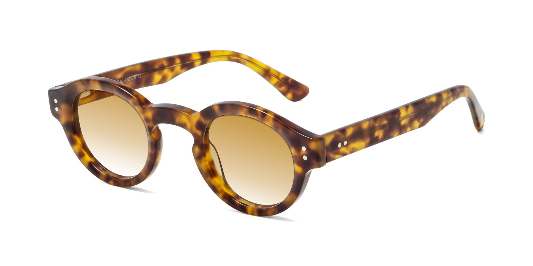Angle of Pine in Tortoise with Champagne Gradient Lenses