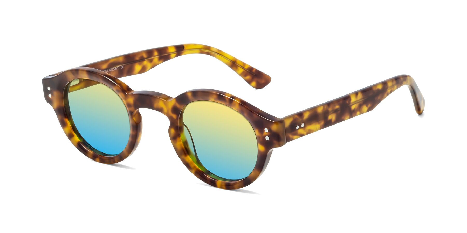 Angle of Pine in Tortoise with Yellow / Blue Gradient Lenses