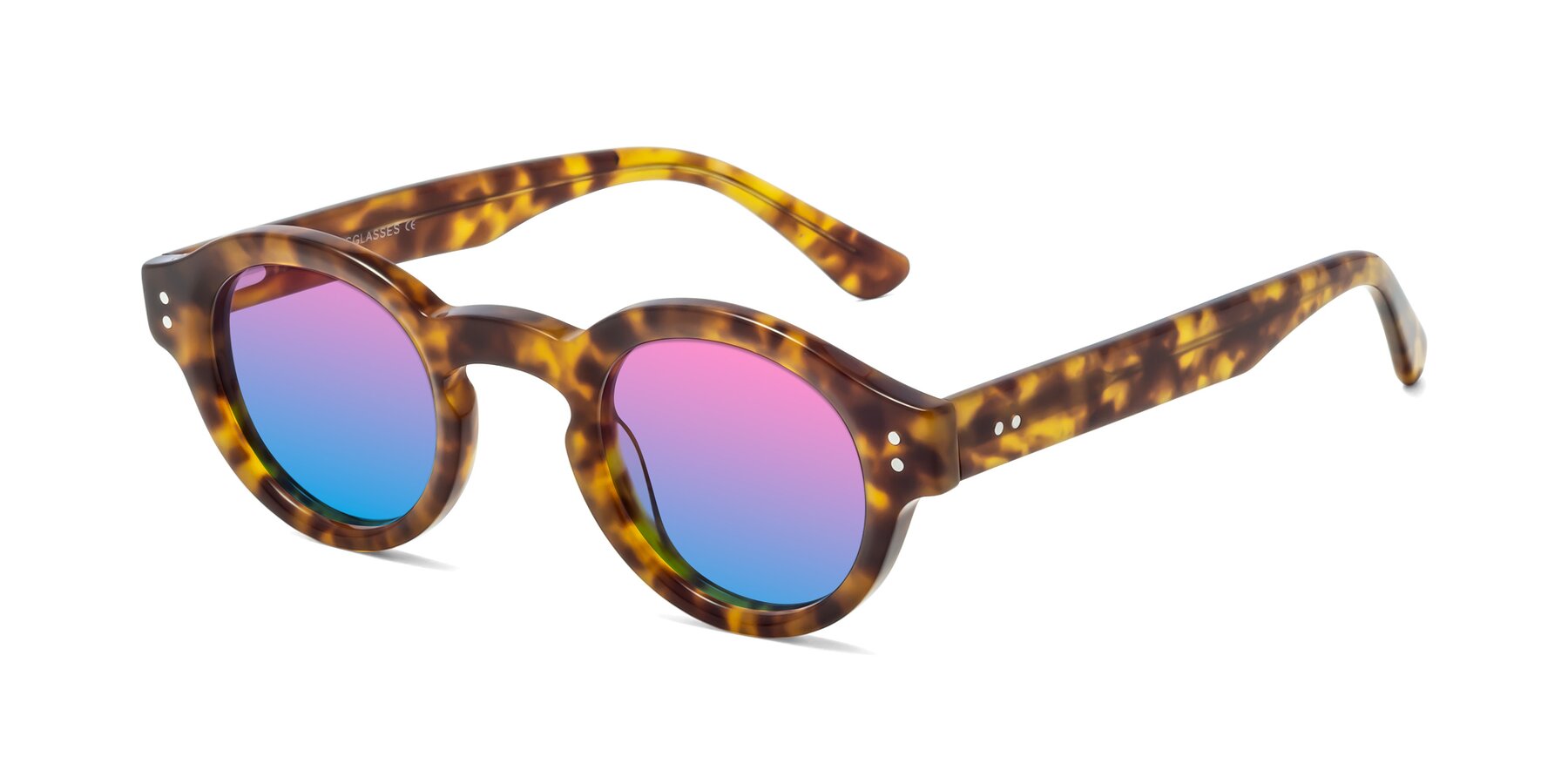 Angle of Pine in Tortoise with Pink / Blue Gradient Lenses