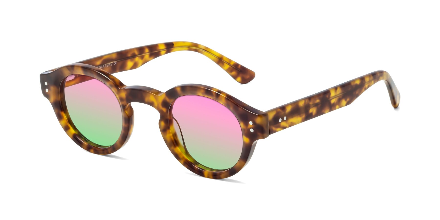 Angle of Pine in Tortoise with Pink / Green Gradient Lenses