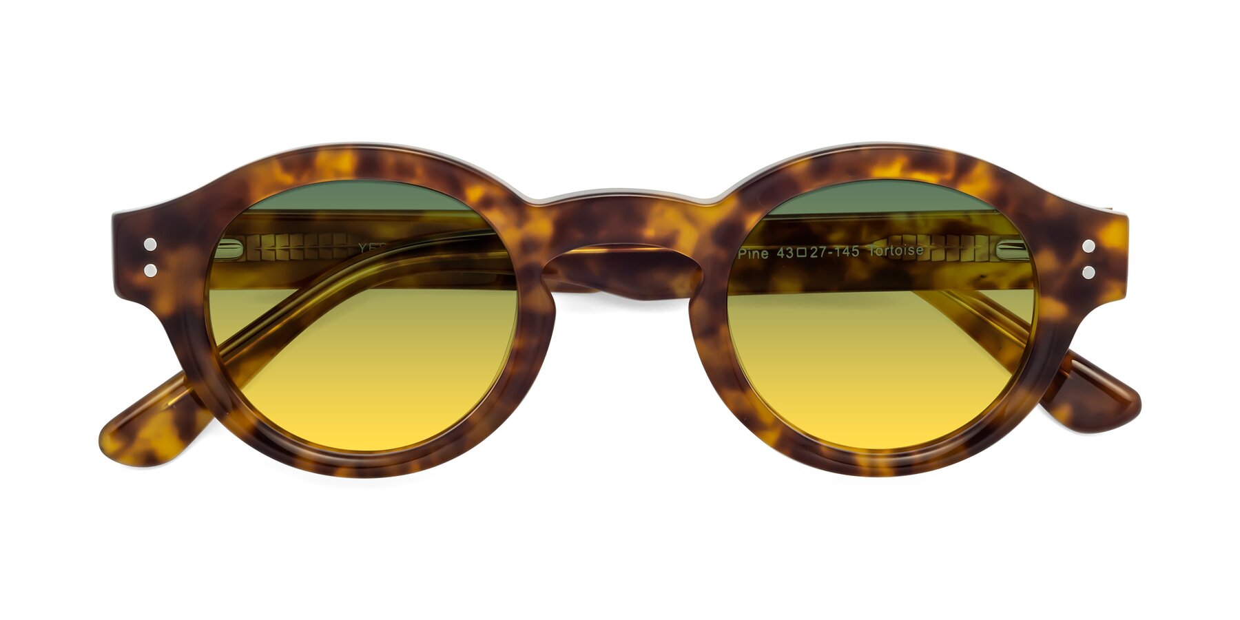 Folded Front of Pine in Tortoise with Green / Yellow Gradient Lenses