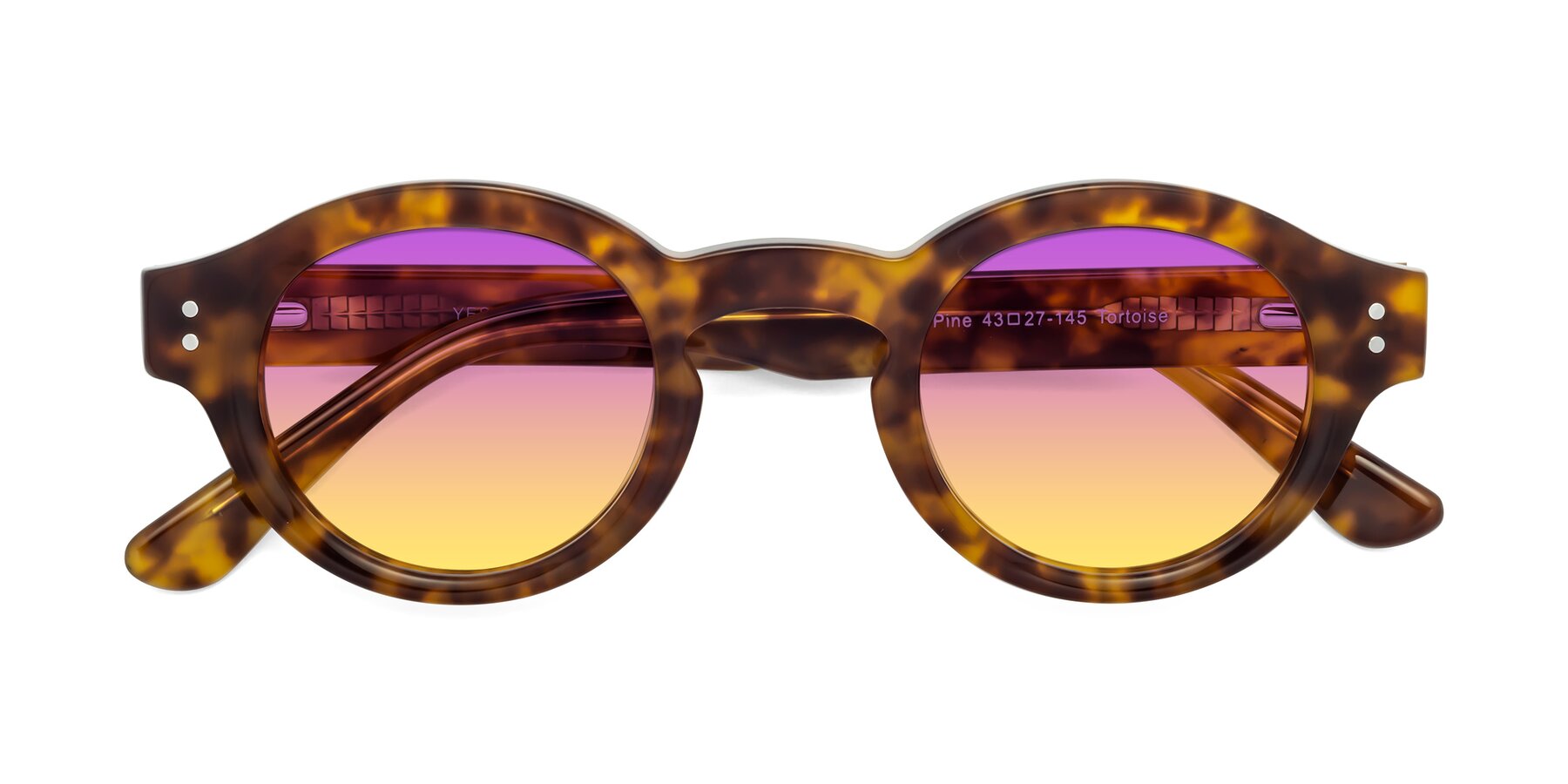 Folded Front of Pine in Tortoise with Purple / Yellow Gradient Lenses