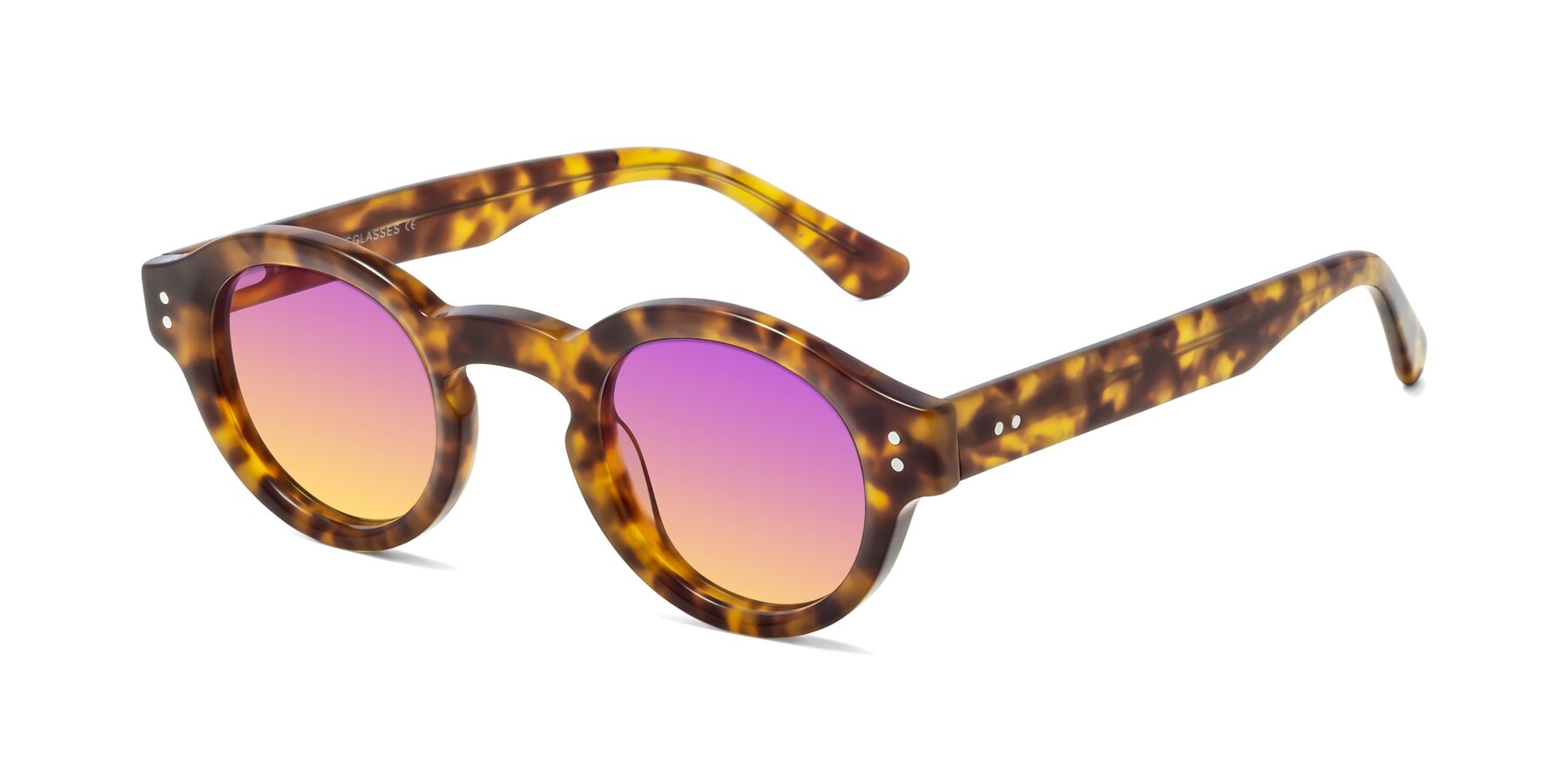 Angle of Pine in Tortoise with Purple / Yellow Gradient Lenses