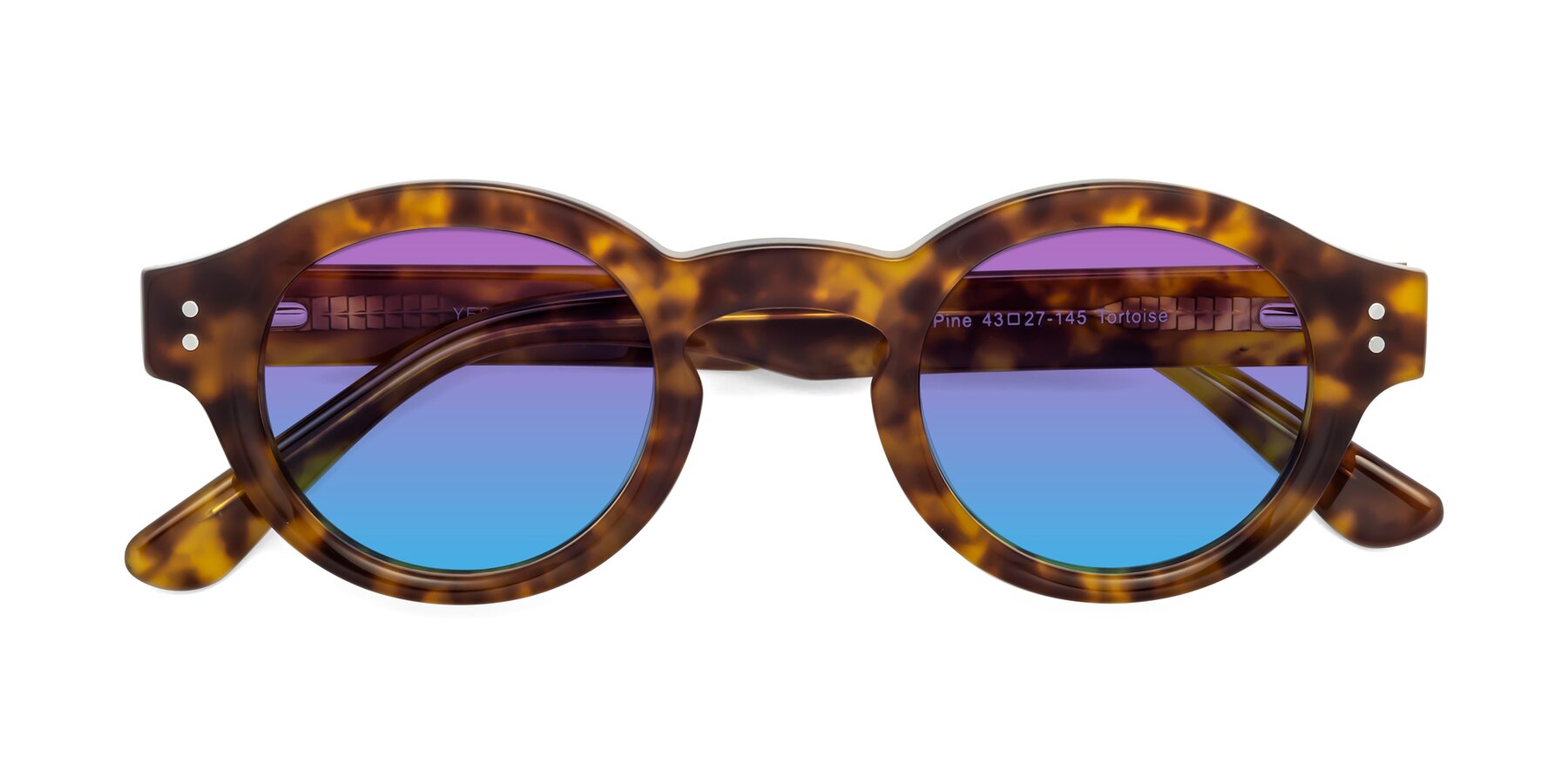 Folded Front of Pine in Tortoise with Purple / Blue Gradient Lenses
